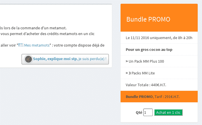 aperçu de la promo sur la page "tarifs metamots"
