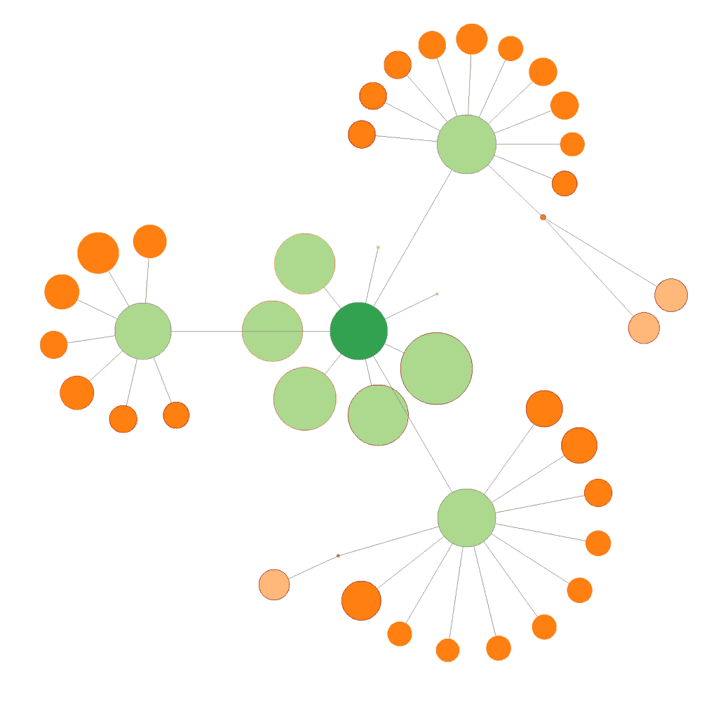 un wordpress à la structure optimisée